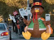 webassets/tdaypicket.jpg